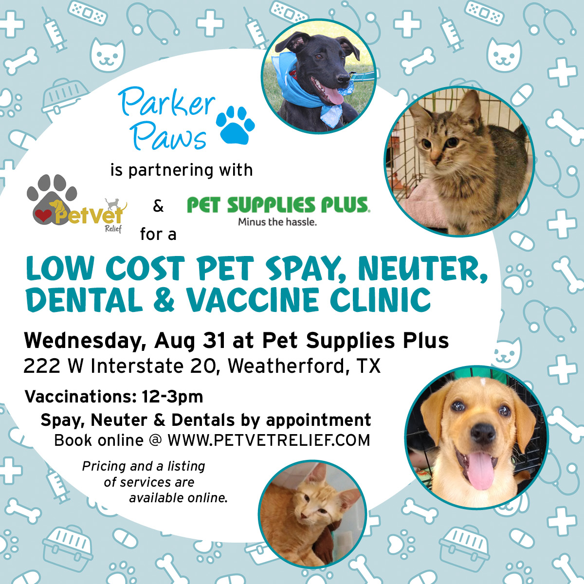 Low-cost pet supplies